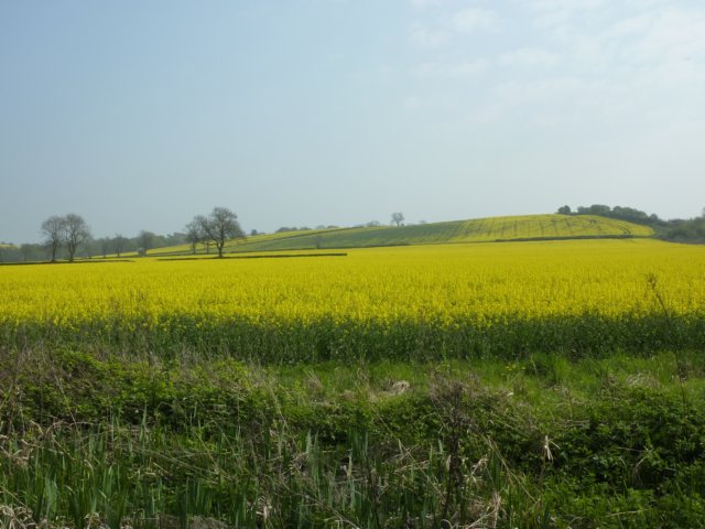 p1000789.jpg
