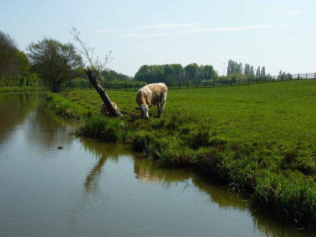 p1000799.jpg