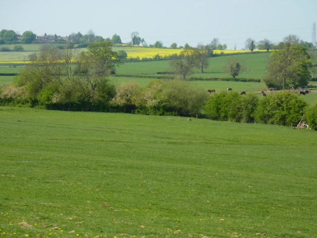 p1000801.jpg