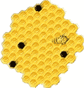 honeycomb