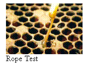Text Box:  
Rope Test
