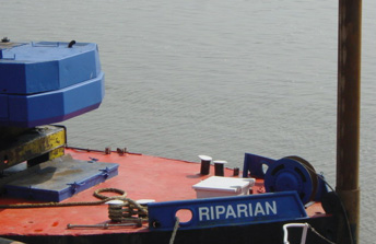 Riparian