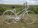VITUS