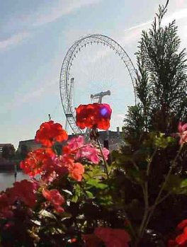 The London Eye