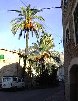 Soller