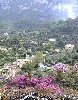 Deia