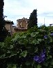 Deia greenery (any offers?)