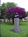 imgp0620.jpg
