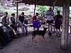 imgp0707.jpg