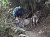 imgp0711.jpg