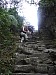 imgp0775.jpg