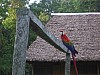 imgp0866.jpg