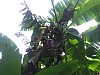 imgp0914.jpg
