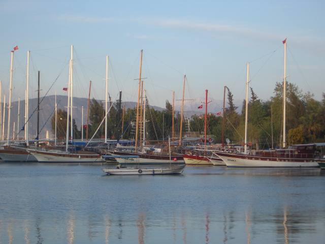 imgp1222.jpg