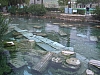 imgp1128.jpg