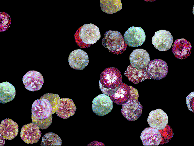 carn4001.gif