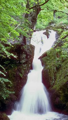 Picture of Waterfall