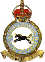 222 Sqn Crest