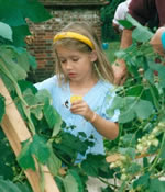 Jemma at the Museum of Kent Rural Life Hop Festival - 1995