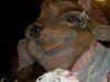 Big face.jpg (26695 bytes)