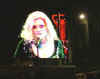 Blondie.jpg (49901 bytes)