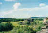 kakadu.jpg (42889 bytes)