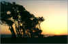 sunset.jpg (64633 bytes)
