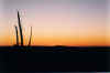 sunset1.JPG (27981 bytes)