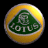 Spinning Lotus Badge