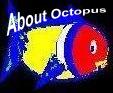I'll tell you all you want to know about what we do at Octopus 