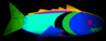 okay, see you later fish