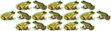 17 frogs
