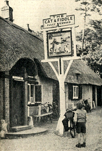 The Cat & Fiddle, Hinton Admiral