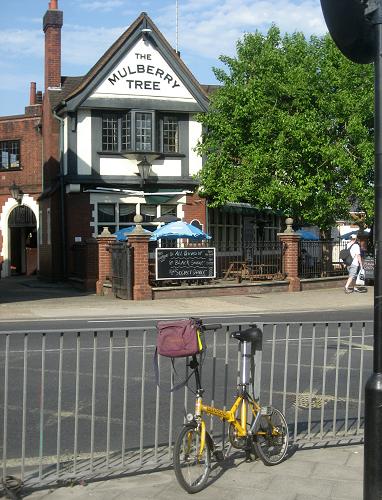 The Mulberry Tree in Ipswich