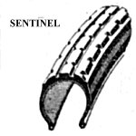 1951 Sentinel