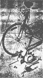 BikeBug and Schwinn