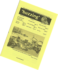 Buzzing - February 2001