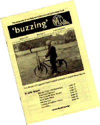 Buzzing - February 2002