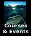 Courses & Events