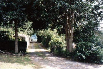 {short description of image}