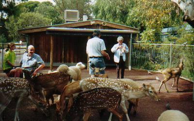 Dad getting attacked by hungry animals in Adelaide Zoo.