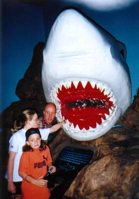 Shark attack, Underwater World, Sentosa.