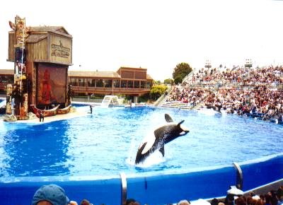 SPLASH!!!!!!!!