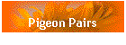 Pigeon Pairs
