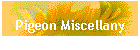 Pigeon Miscellany