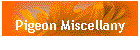 Pigeon Miscellany