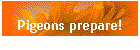 Pigeons prepare!