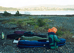 Sleeping On A Beach In Wellington, North Island