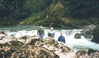 Buller River Gorge, South Island