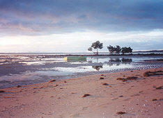 A Fijian Beach